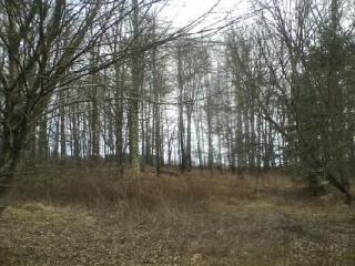 148 Radcliff Rd, Ferndale, NY 12734-5310