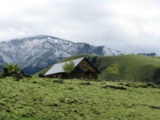 316 Seven Devils Rd, Riggins, ID 83549-5001