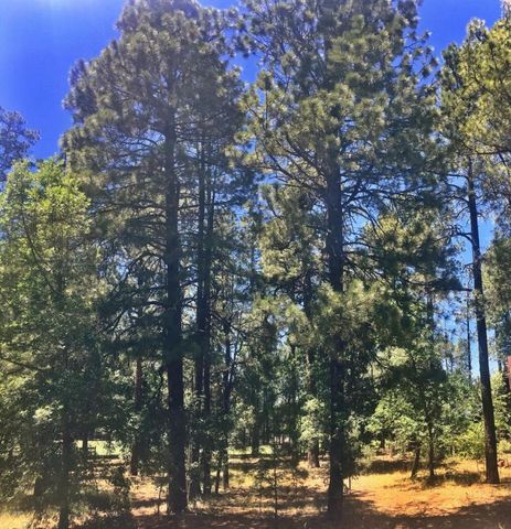 4886 Mallard Cir, Pinetop, AZ 85935-7396