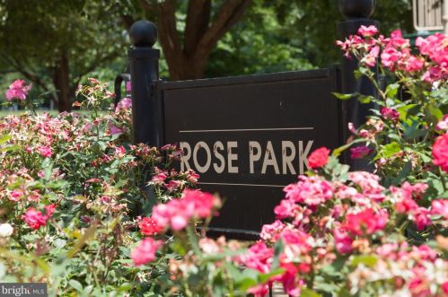 1211 28 St, Washington DC 20007-3355 exterior