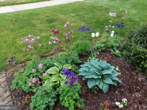 35 Marble House Dr, Bear DE  19701-4023 exterior