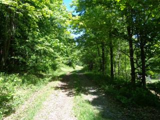 129 Long Island Dr, Decatur, NY 12197-2035