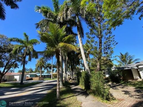 1009 13th Ter, Hollywood FL  33019-3113 exterior