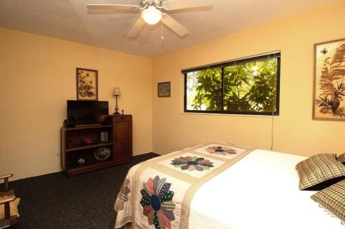 4291 Cherry St, Saint Petersburg FL  33703-5033 exterior