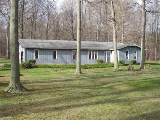 5711 Mud Lake Rd, Seville, OH 44273-9524