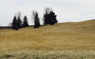 101 32nd Ave, Willmar, MN 56201-8754