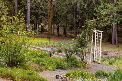 13407 Thoroughbred Loop, Grass Valley CA  95949-7691 exterior