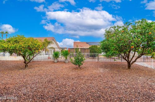 22033 Golf Club Dr, Sun City AZ 85375-2078 exterior