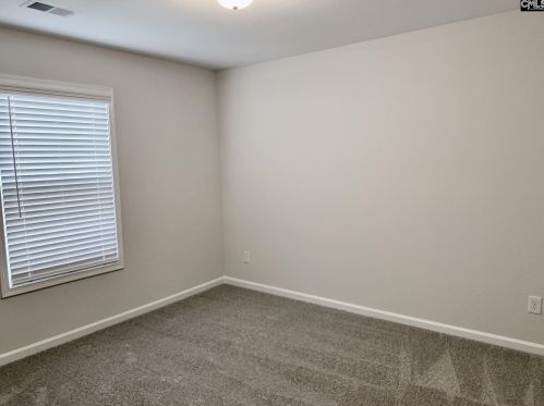 909 Dawsons Park Way, Lexington SC  29072 exterior