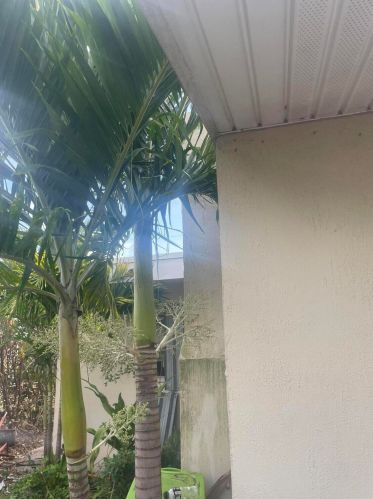 2348 Robin Rd, West Palm Beach, FL 33409-6156