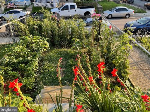 3203 Englewood St, Philadelphia PA 19149-1506 exterior