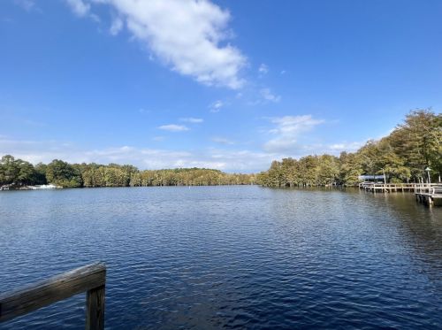 1948 Princess Pond Rd, St Paul SC  29148-8460 exterior