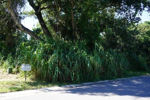 3585 Belle Arbor Cir, Titusville FL  32780-5593 exterior