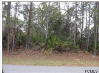 1461 Beech Blvd, Bunnell, FL 32110