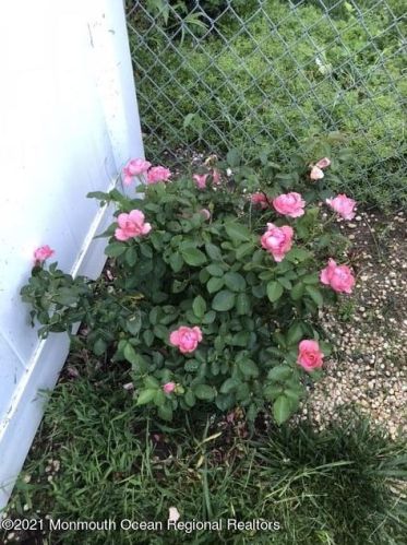 323 Lk Shr Dr, Bricktown NJ 08723-6013 exterior