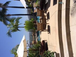 2604 La Golondrina St, Carlsbad, CA 92009-4322