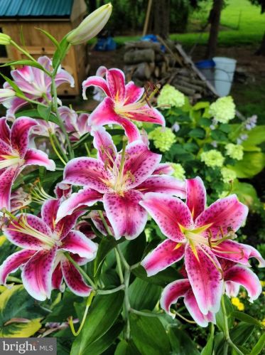 1139 Wilson Ave, Glen Mills PA  19342-9610 exterior