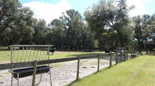 17639 Palamino Lk Dr, Dade City FL 33523-1949 exterior