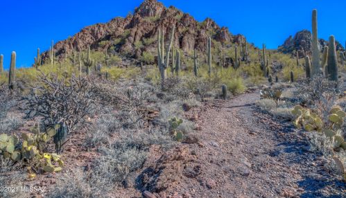 5725 Marshall Pl, Tucson AZ exterior