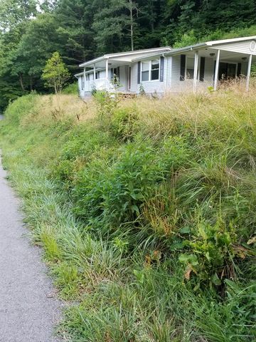 1641 Old Vandyke Hollow Rd, Patterson, VA 24631-8495