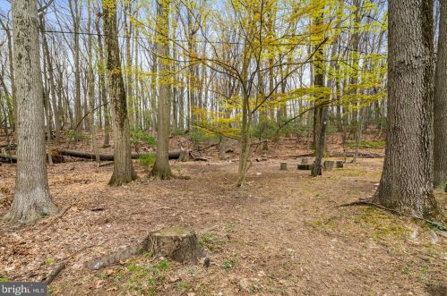 431 Weadley Rd, Norristown PA  19406-3747 exterior