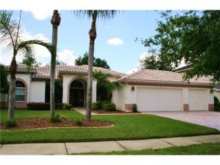 1045 Kings Way Ln, Tarpon Springs FL  34688-7653 exterior