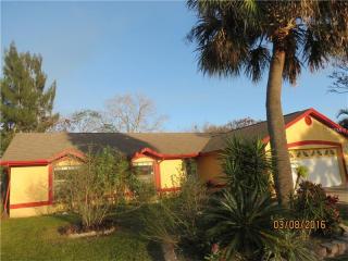 12137 Romero St, Orlando, FL 32837-9570