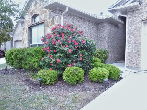 1104 Nora Ln, Denton, TX 76210-8698