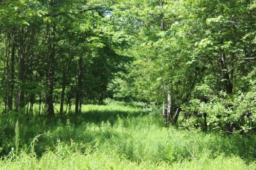 634 Centerville Rd, Port Ontario NY  13142-2527 exterior