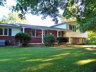 10476 Spencer Lake Rd, Spencer, OH 44275-9784