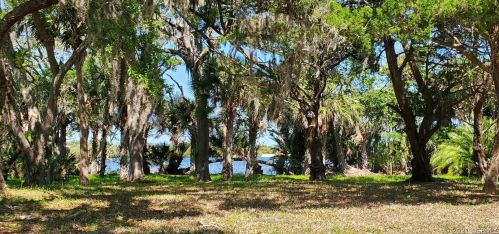 1508 Riverside Dr, Edgewater, FL 32132-3622