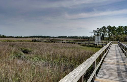 52 Salty Tide Cv, Mount Pleasant SC  29464-7925 exterior