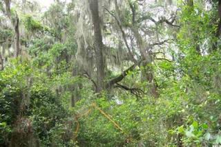 1511 Deanne Dr, Beaufort, SC 29902-4214