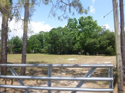 12734 Mcbride Rd, Brooksville, FL 34610-4512