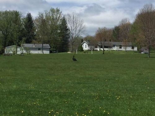 4982 Route 76, Ripley, NY 14775-9609