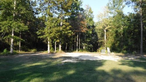 325 Fm 256, Woodville, TX 75979-6985