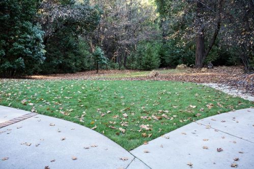 12729 Bradford Dr, Grass Valley CA 95945-9724 exterior