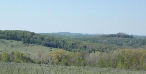 752 Evergreen Rd, Luthersburg, PA 15848-3514