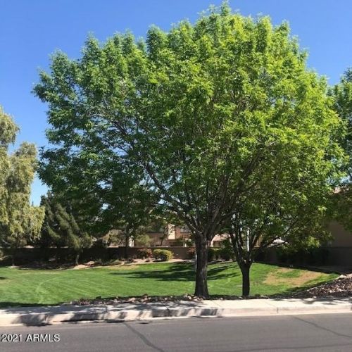 15440 169th Ln, Sun City, AZ 85388-1360