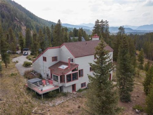 93 Last Chance Ln, Montezuma, CO 80435-7810