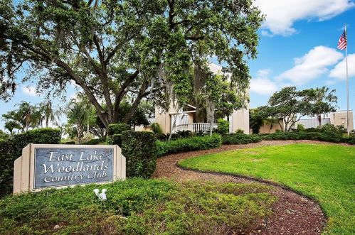100 Lisa Ln, Oldsmar FL  34677-2369 exterior