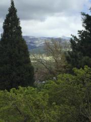 1487 Windsor St, Ashland, OR 97520-3443