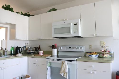 14144 Whitecap Ave, Port Richey FL  34667-8052 exterior