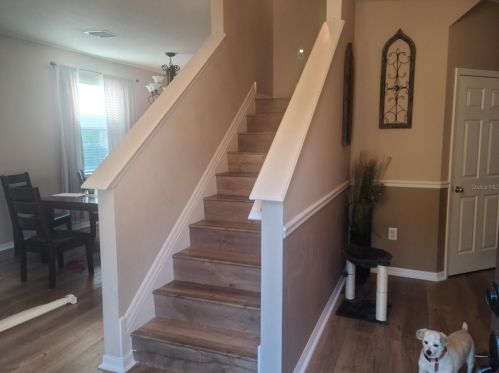 6019 Cape Loop, Land O Lakes FL  34639-2700 exterior