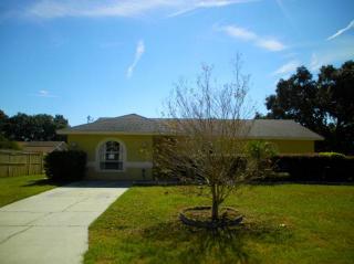 3825 Dovehollow Dr, Lakeland, FL 33812-4361