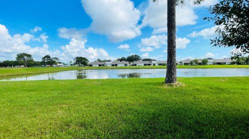 102 Pine Island Cir, Kissimmee, FL 34743-8169