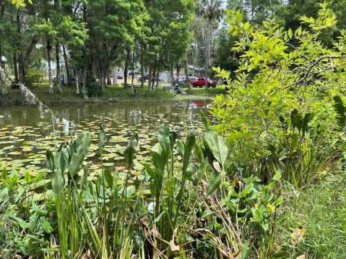 8790 Lake Marion Creek Rd, Grenelefe, FL 33844-8331