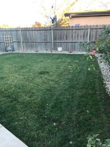 1218 Holly Dr, Lodi CA 95242-2422 exterior