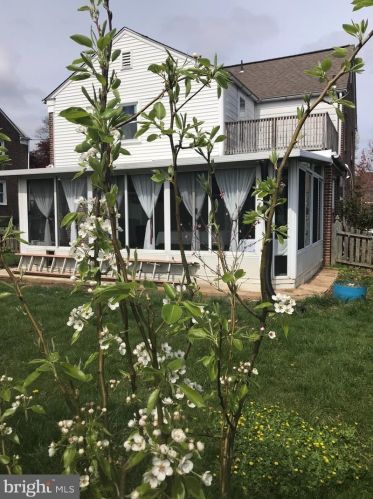 26 Johns Rd, Cheltenham PA  19012-1420 exterior