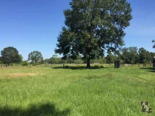 115 Bunny Ln, Schriever, LA 70395-4123